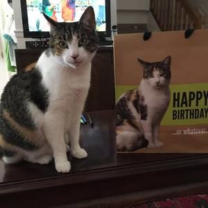 Meet your Posher, Jenna